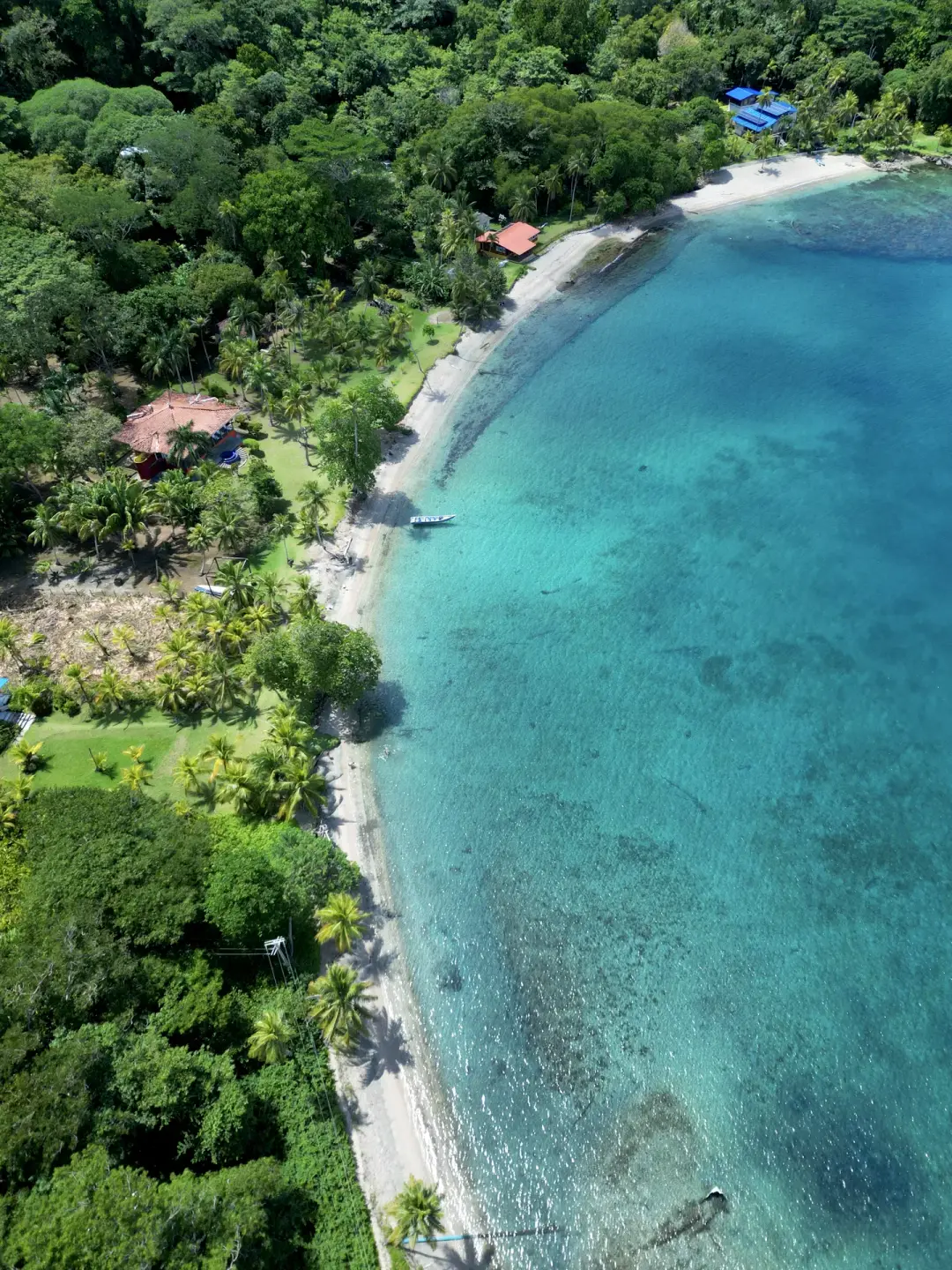 Naturaleza del Caribe escondido