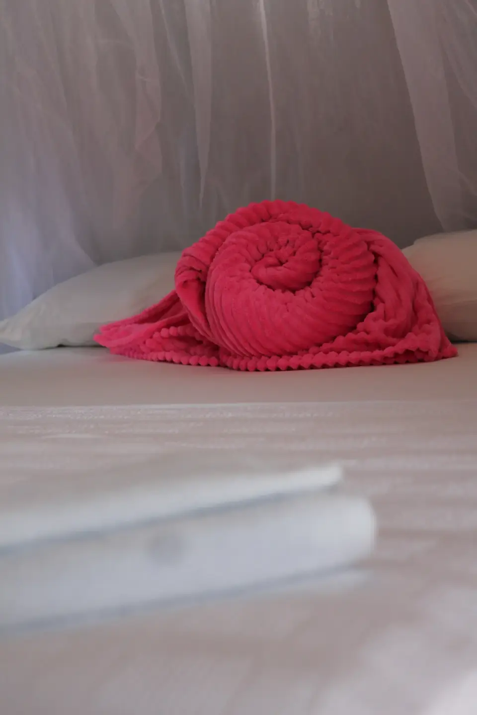 Suite Brisa — foto 17